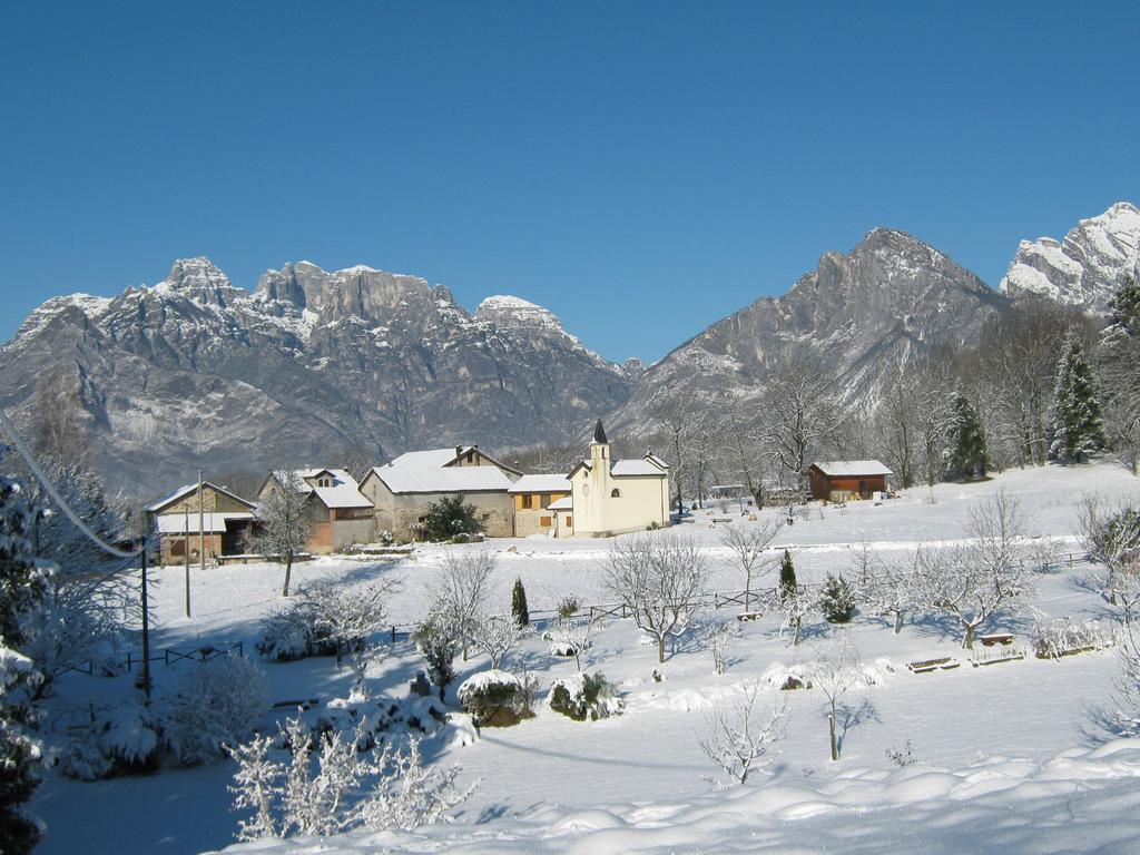 B&B Col Del Vin ベッルーノ エクステリア 写真