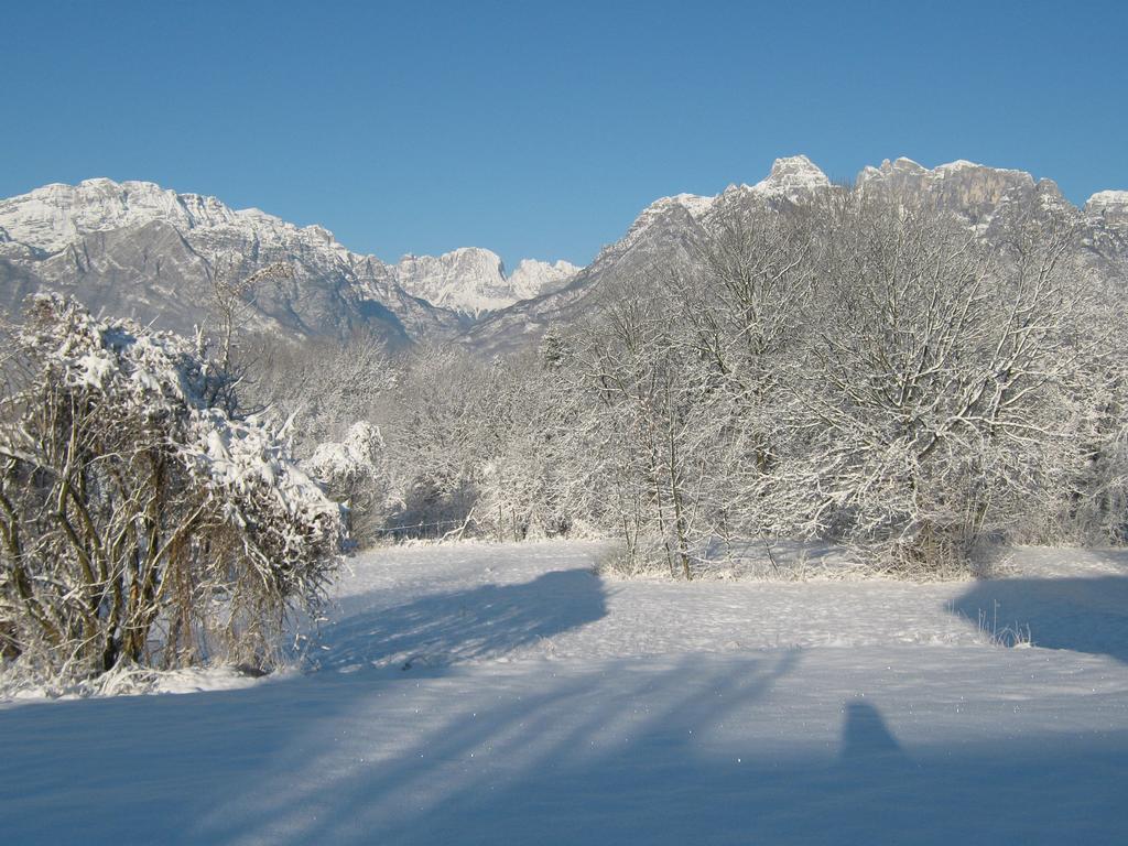 B&B Col Del Vin ベッルーノ エクステリア 写真