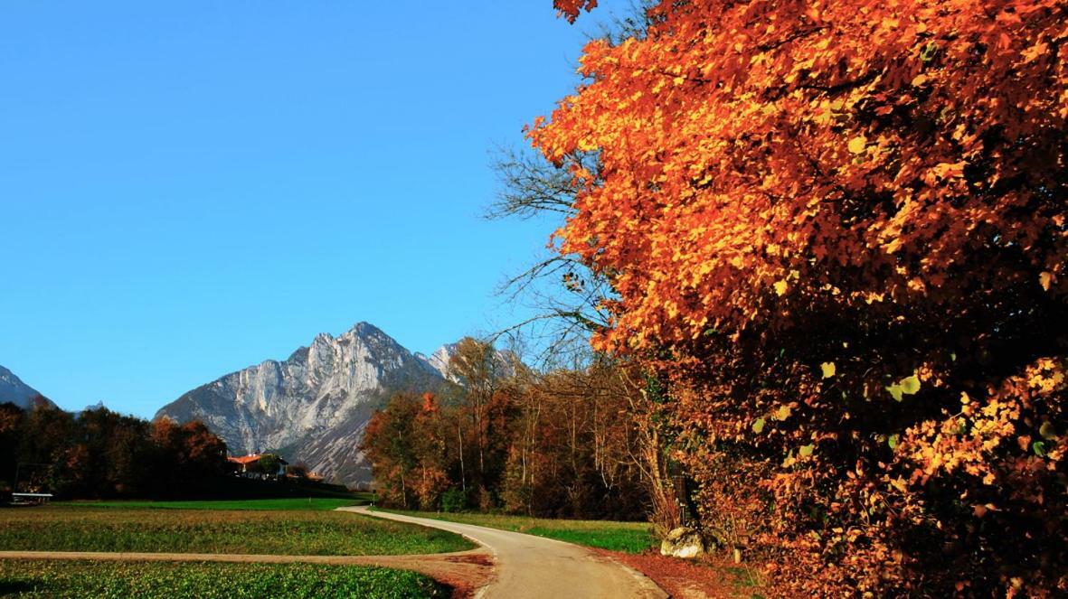 B&B Col Del Vin ベッルーノ エクステリア 写真