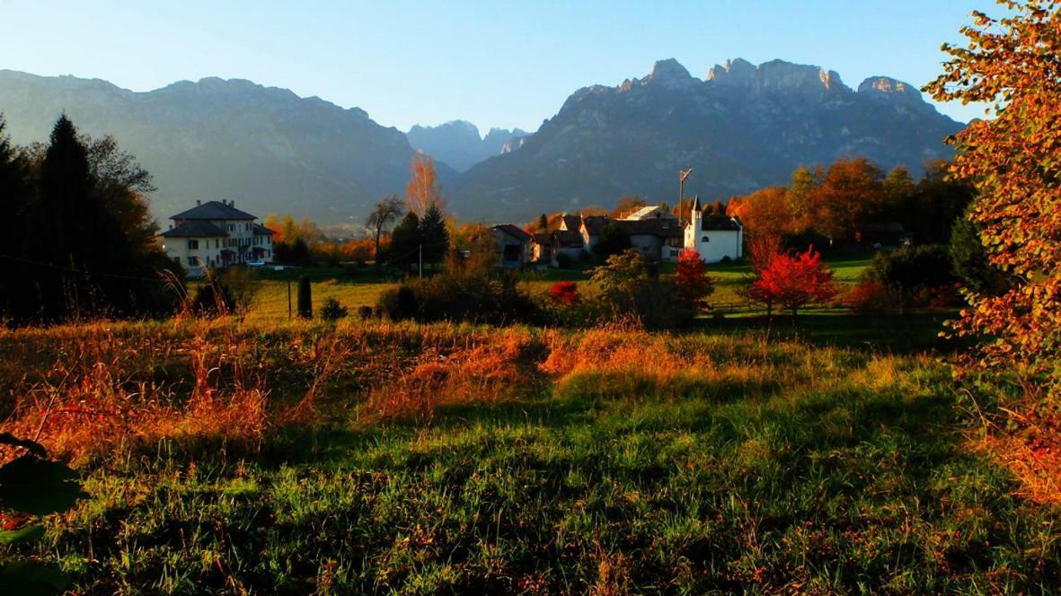 B&B Col Del Vin ベッルーノ エクステリア 写真