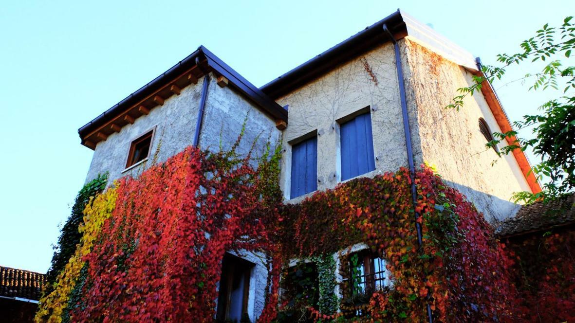B&B Col Del Vin ベッルーノ エクステリア 写真