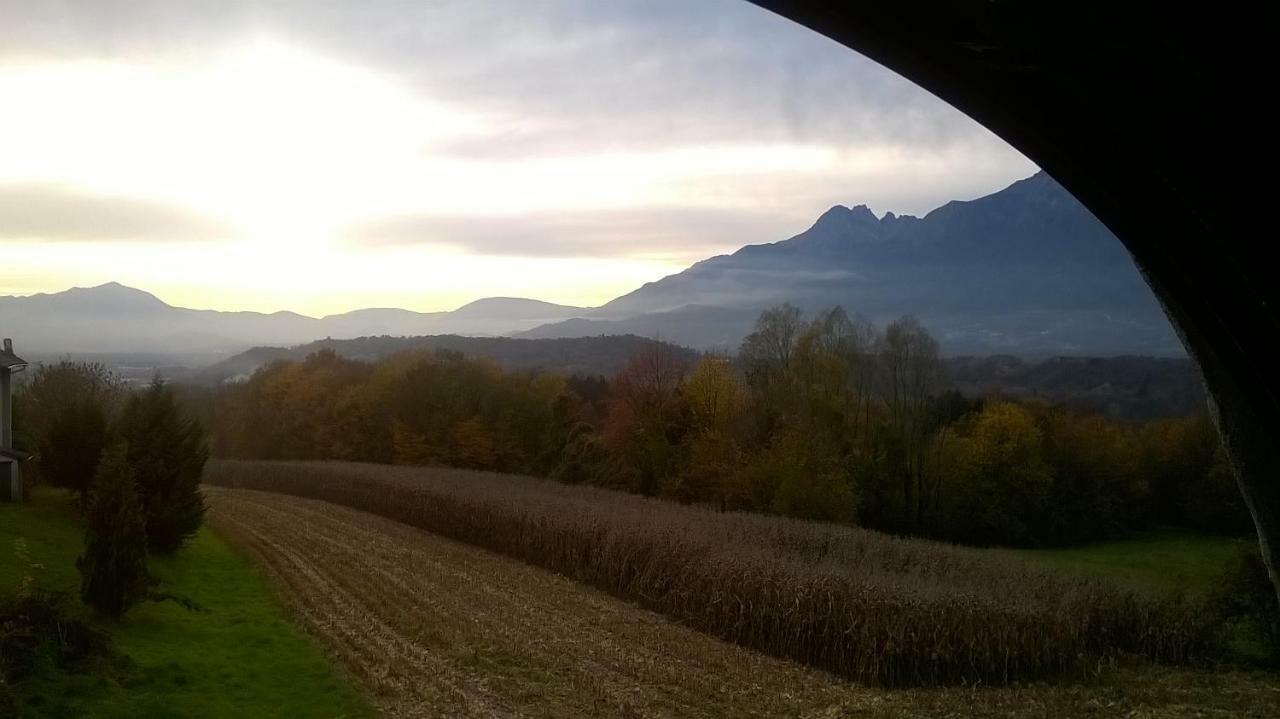 B&B Col Del Vin ベッルーノ エクステリア 写真